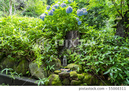 [Kanagawa] Kamakura Sugimotoji Jizo 55008311