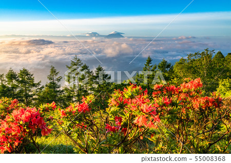 《Yamanashi Prefecture》Dawn of the Sea of Clouds, Mt. Amari 《Yamanashi Prefecture》Dawn of the Sea of Clouds, Mt. Amari 55008368