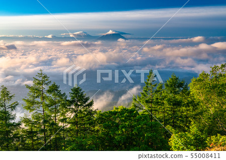 《山梨縣》阿馬里山雲海的黎明 55008411