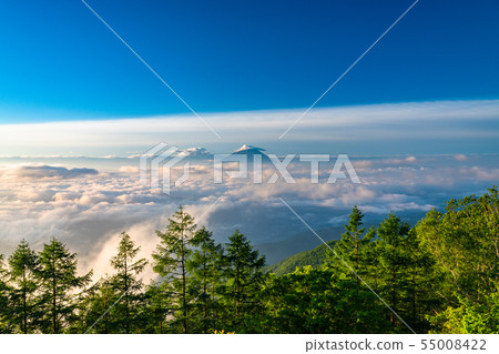 《山梨縣》阿馬里山雲海的黎明 55008422