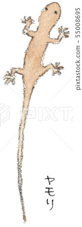 壁虎 壁虎 55008695