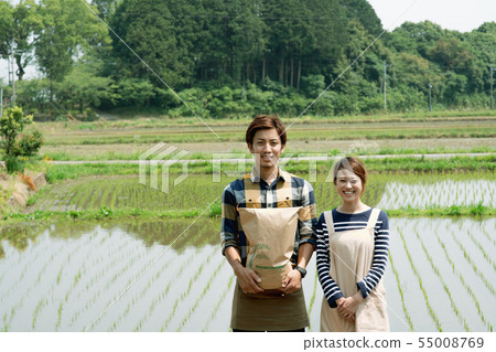Rice farming agriculture rice planting harvest 55008769