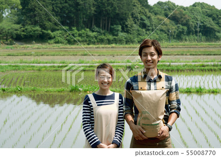 水稻種植農業水稻種植收穫 55008770