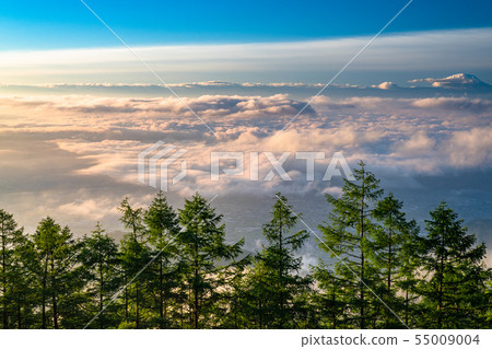 《Yamanashi Prefecture》Dawn of the Sea of Clouds, Mt. Amari 55009004