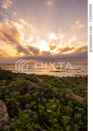 黃昏海岸 55009468