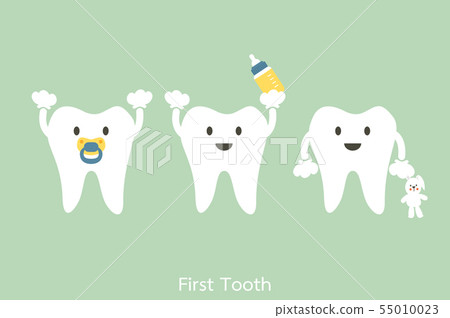 first teeth or baby tooth first teeth or baby tooth 55010023