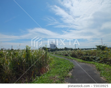 View the environmental center from the meadow of Ayako Doman Green Park 55010925