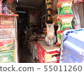 Nepal, storefront cat 55011260