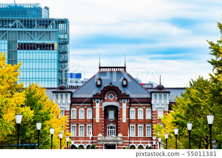 Tokyo Ginko lined trees in front of Tokyo Station Marunouchiguchi Yukikodori 55011381