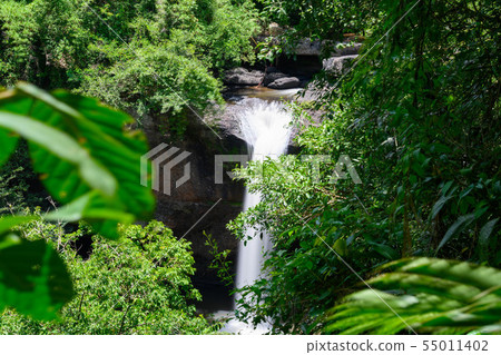 Khao Yai National Park (Turn Rattaner Falls) Khao Yai National Park (Turn Rattaner Falls) 55011402