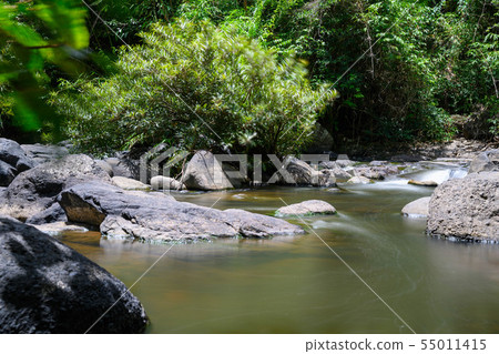 考艾國家公園(轉Rattaner瀑布) 考艾國家公園(轉Rattaner瀑布) 55011415