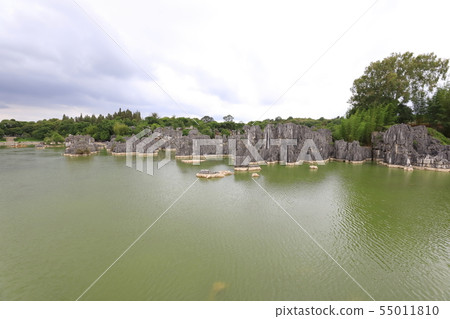 Stone Forest Scenic Spot World Heritage Site Yunnan China 55011810