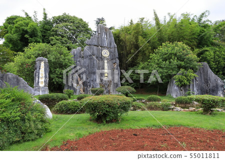 Stone Forest Scenic Spot World Heritage Site Yunnan China 55011811