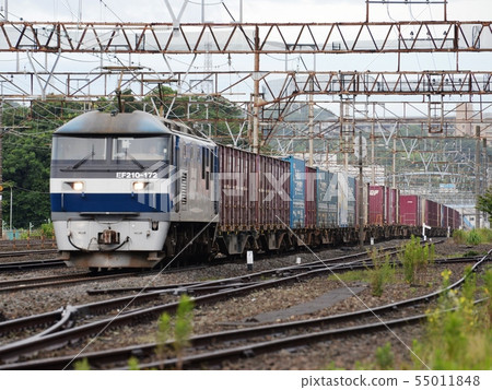 Morning EF 210 55011848
