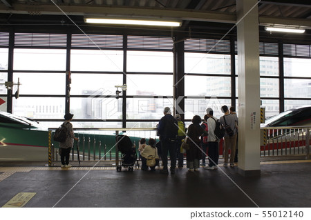 Tohoku Shinkansen under split work at Morioka Station 55012140
