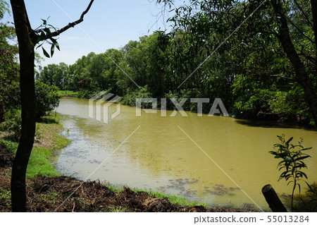 骨頭 骨骼 頭骨 55013284