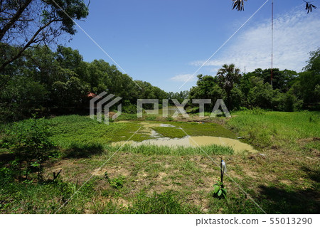 骨頭 骨骼 頭骨 55013290