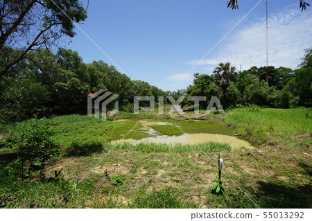 頭骨 骨架 頭蓋骨 55013292