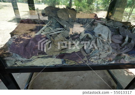 亞洲 亞洲人 骨頭 55013317