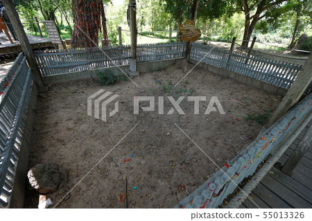 骨頭 骨骼 頭骨 55013326