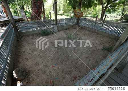 骨頭 骨骼 頭骨 55013328