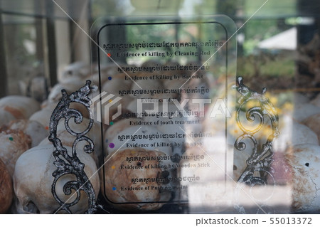 bone, bones, skull 55013372