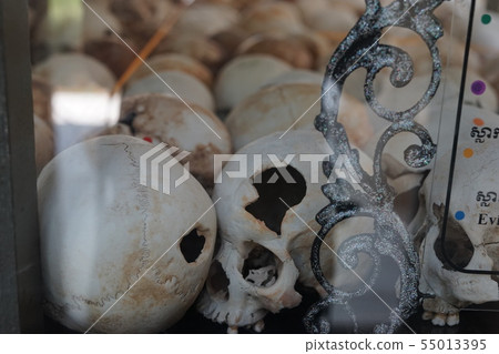 skull, touristic, travel 55013395
