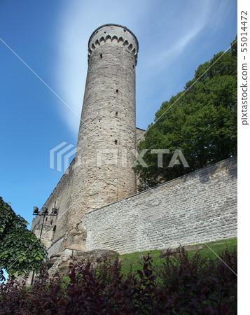 Hermann's Tower in Noto, Estonian Tallinn Hermann's Tower in Noto, Estonian Tallinn 55014472