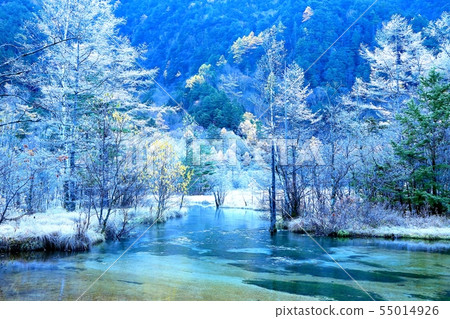 Kamikochi, Tashiro pond and hog forest in autumn 55014926