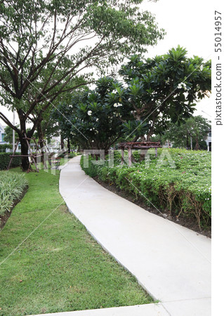 garden garden 55014957