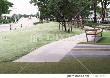 garden  55014968
