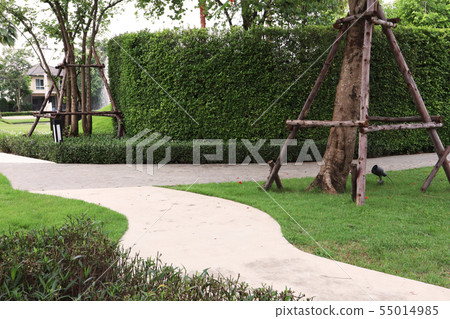 garden garden 55014985