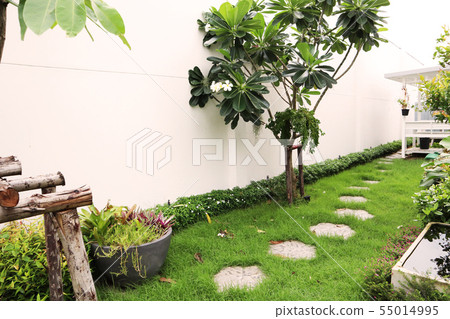 garden  55014995