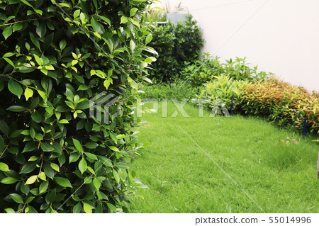 garden garden 55014996