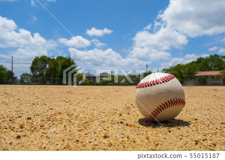 夏天的地面 55015187