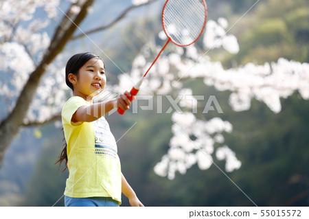 打羽毛球的女孩在佐倉下 55015572