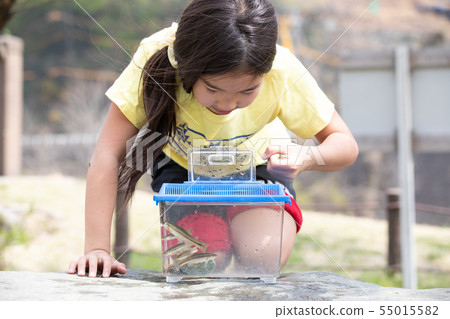Girl observing a creature Girl observing a creature 55015582