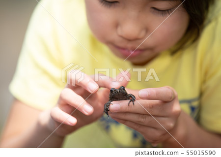 Girl brushing a frog Girl brushing a frog 55015590