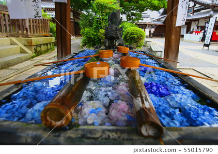 Yanagiya Kannon花手水屋 55015790