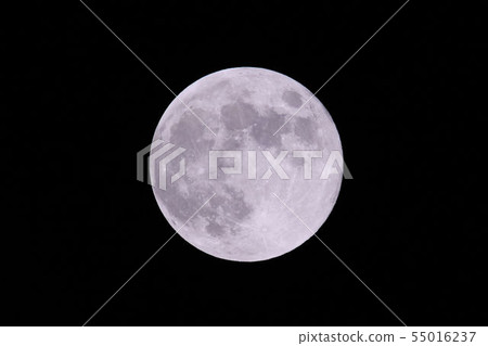 [星期一] 6月的滿月，用600mm長焦鏡頭拍攝 55016237