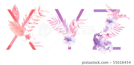 Watercolor Hand Drawn tropic letters monograms or logo. Uppercase X, Y, Z with jungle herbal Watercolor Hand Drawn tropic letters monograms or logo. Uppercase X, Y, Z with jungle herbal 55016454