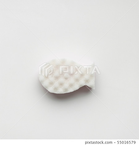 Sponge on white background Sponge on white background 55016579