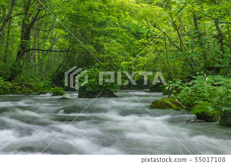 Oirase stream of early summer 55017108