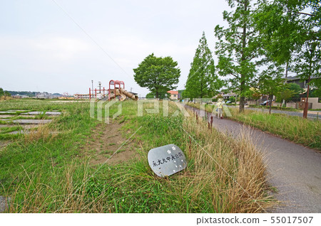 Yongumaru Central Park 55017507