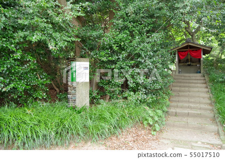 Dotoji Aoi and Mekashii Dotoji Aoi and Mekashii 55017510