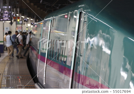 Tohoku Shinkansen E5系統在大宮站停了下來 55017694