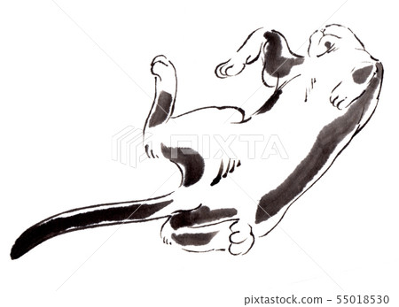 Sumie cat 07 55018530