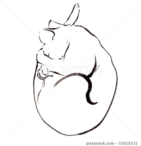 Sumie cat 02 55018535