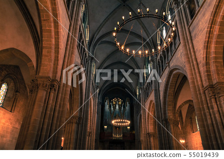 St. Pierre Cathedral interior fragment with organ St. Pierre Cathedral interior fragment with organ 55019439
