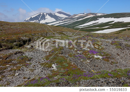 Ezo Oyama no pea community and Asahidake distant view 55019833